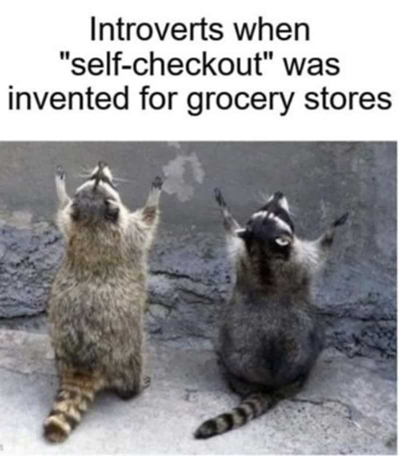 Introverts when 'self-checkout' was invented for grocery stores.