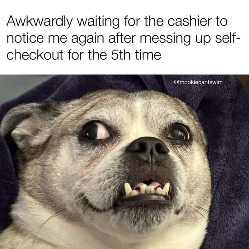 Dog with a funny expression, caption about waiting for cashier after self-checkout mess.