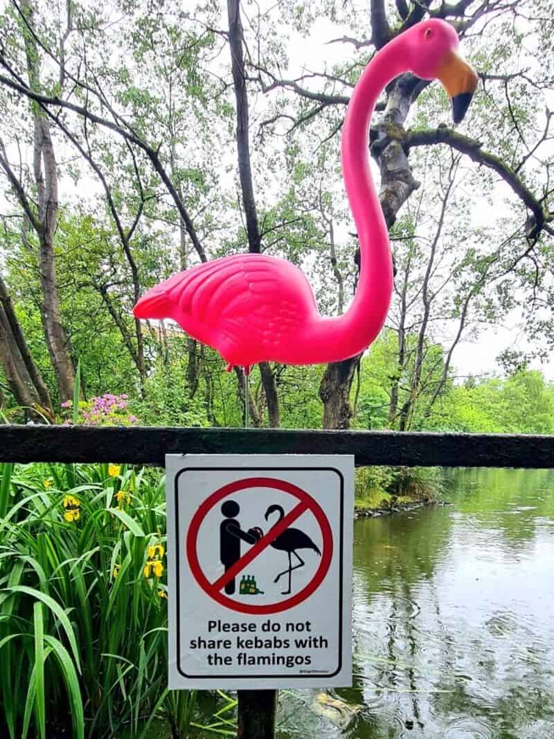 Sign says 'Please do not share kebabs with the flamingos' with a flamingo statue above.