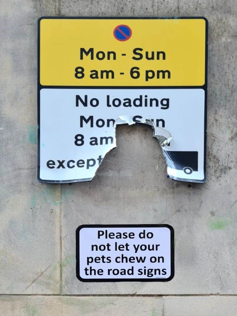 Damaged road sign with a hole in the middle, warning about pet chewing.
