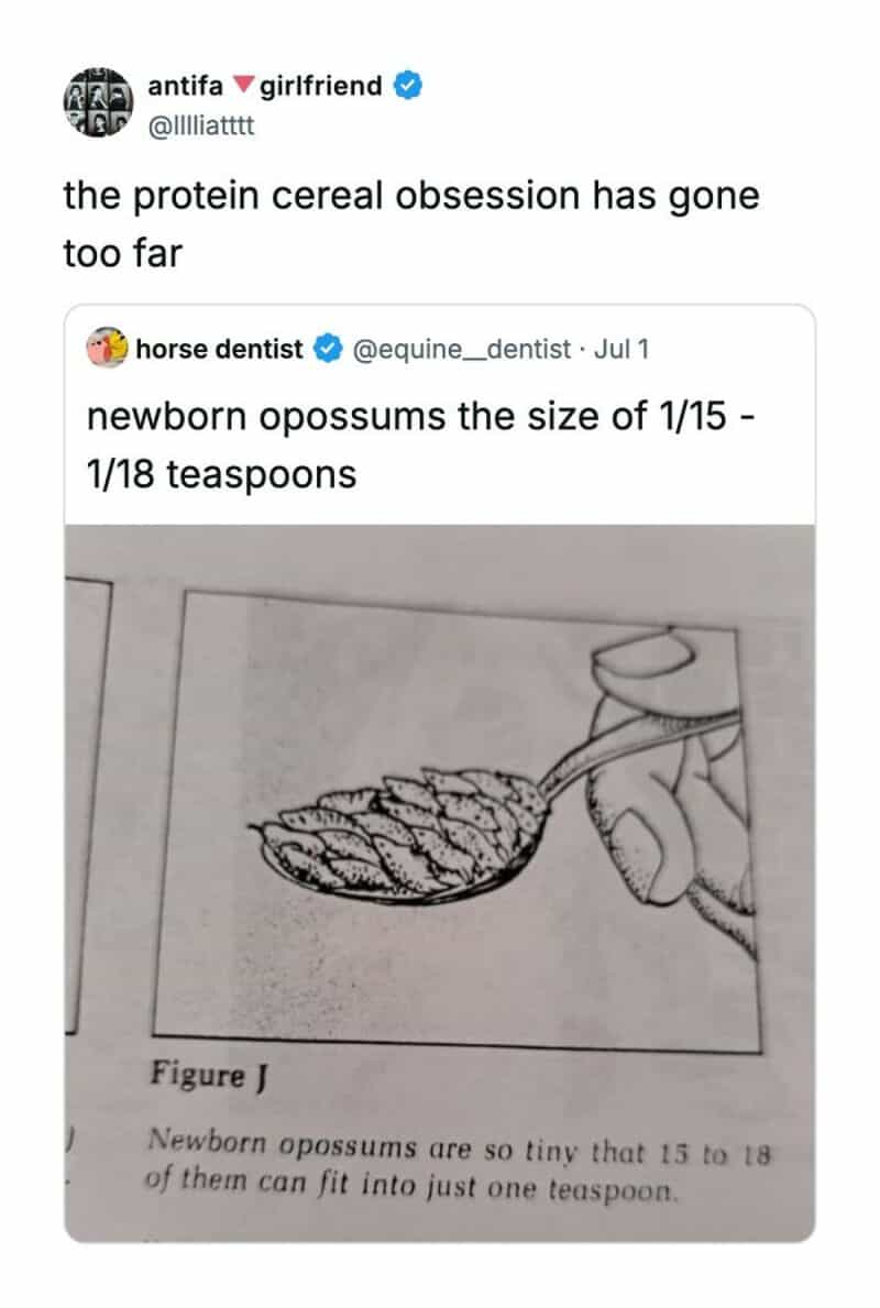 Twitter comments about protein cereal obsession and newborn oosums size.