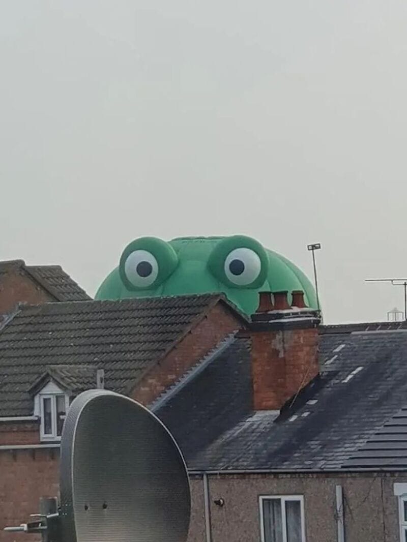 Large frog-shaped inflatable on a rooftop behind houses.