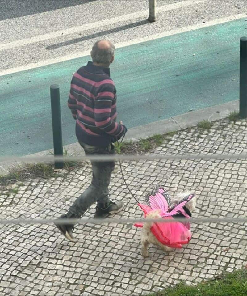 Man walking on sidewalk with a pink flamingo lawn ornament.