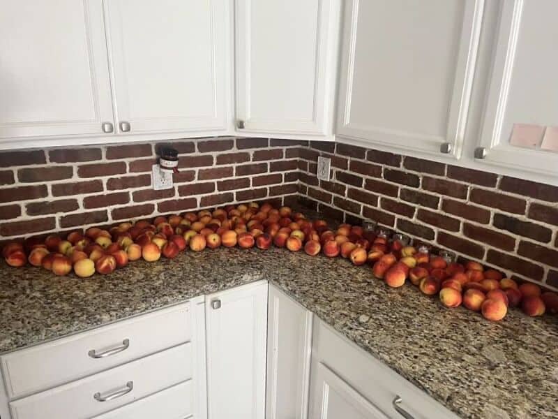 Many apples on kitchen counter with white cabinets and brick backsplash.