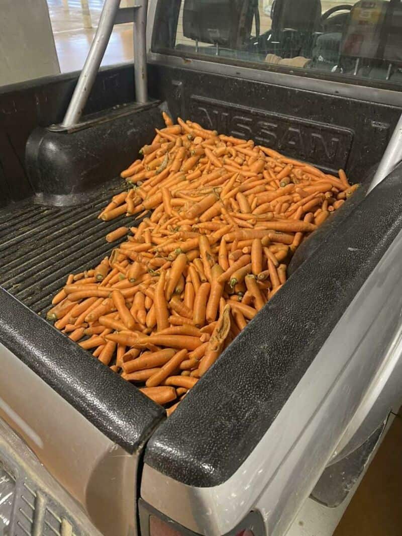Truck bed filled with orange cheese puffs, no other objects visible.