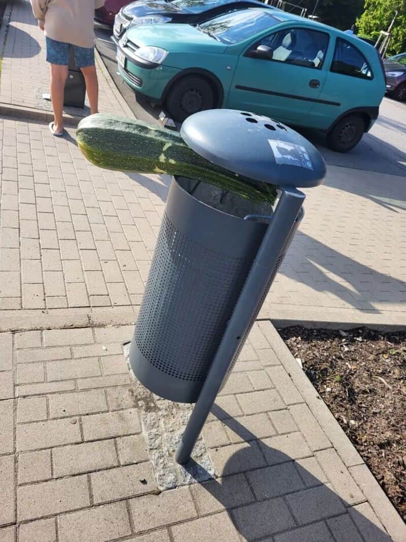 A cucumber and a blue-gray object on a trash can in an urban setting.