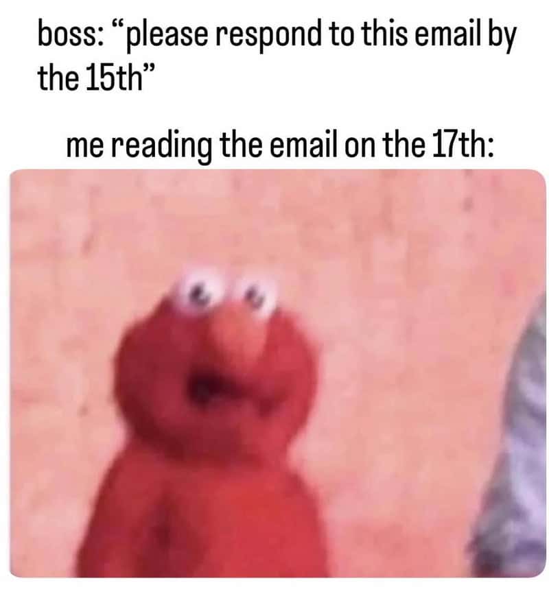 Elmo with a surprised expression, meme about reading emails late.