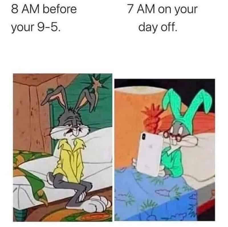 Comparison of Tom and Bunny from 'Tom and Jerry' with captions about sleep times.