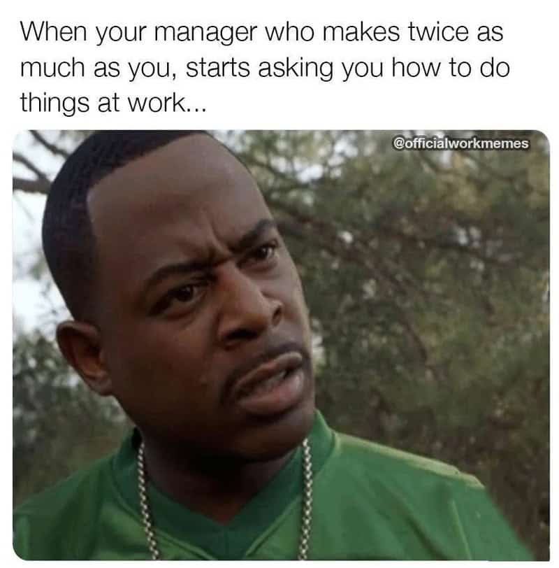 When your manager who makes twice as much as you, starts asking you how to do things at work...