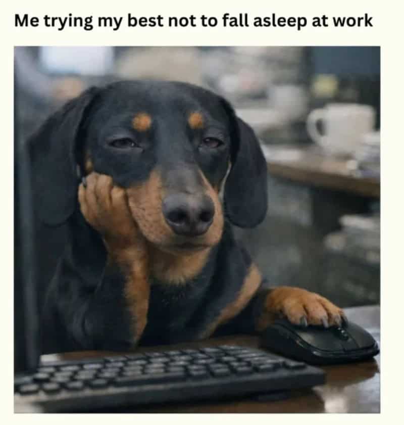 Dog trying not to fall asleep at work, with a computer mouse and keyboard.