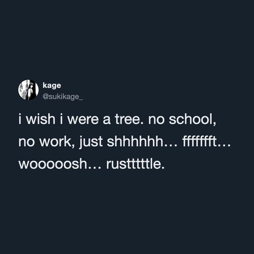 Twitter post by @sukikage_ about wishing to be a tree with no school or work.