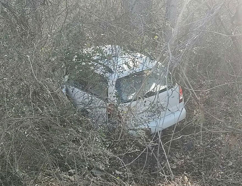 Car crashed into bushes, partially hidden by branches and foliage.