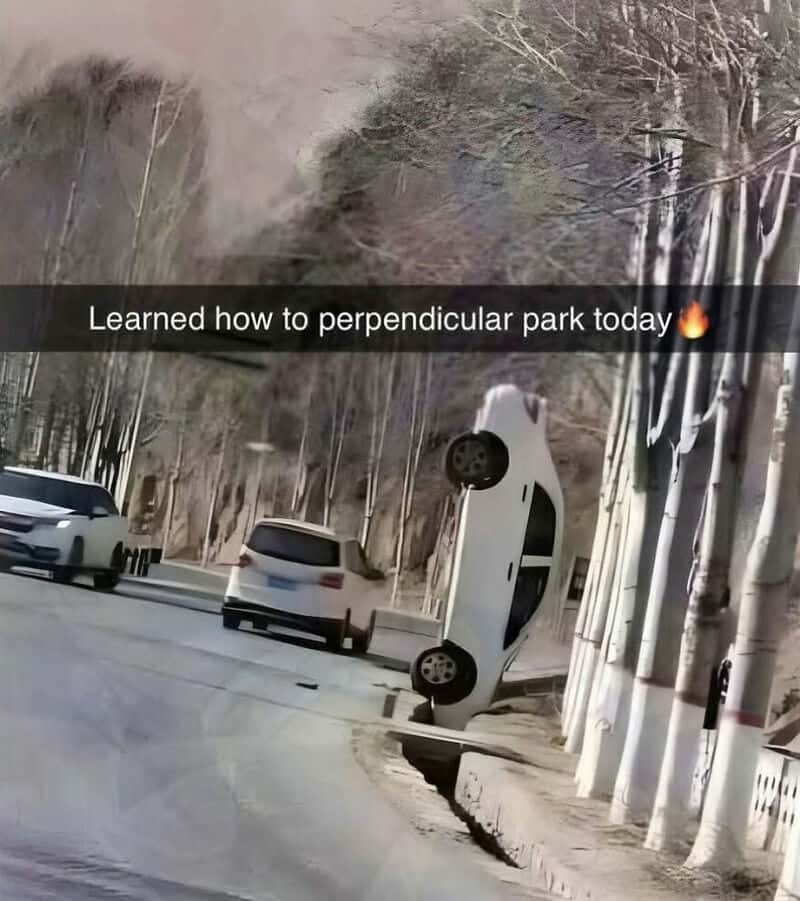 Car parked perpendicular to the curb on a tree-lined street.