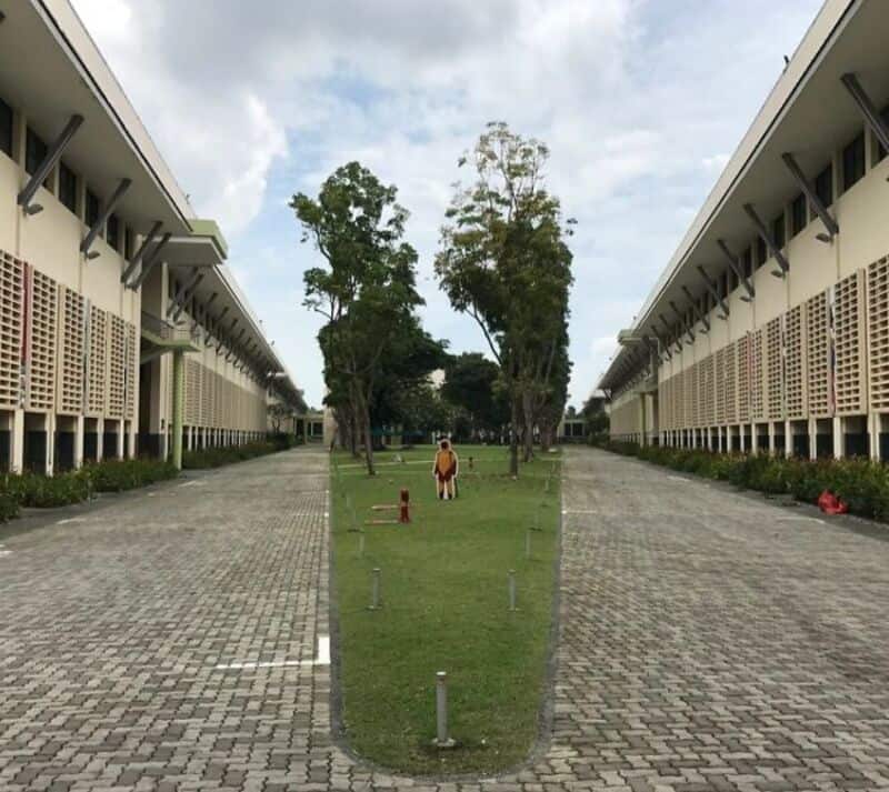 A person walking between two modern buildings with a grassy area and trees in the center.