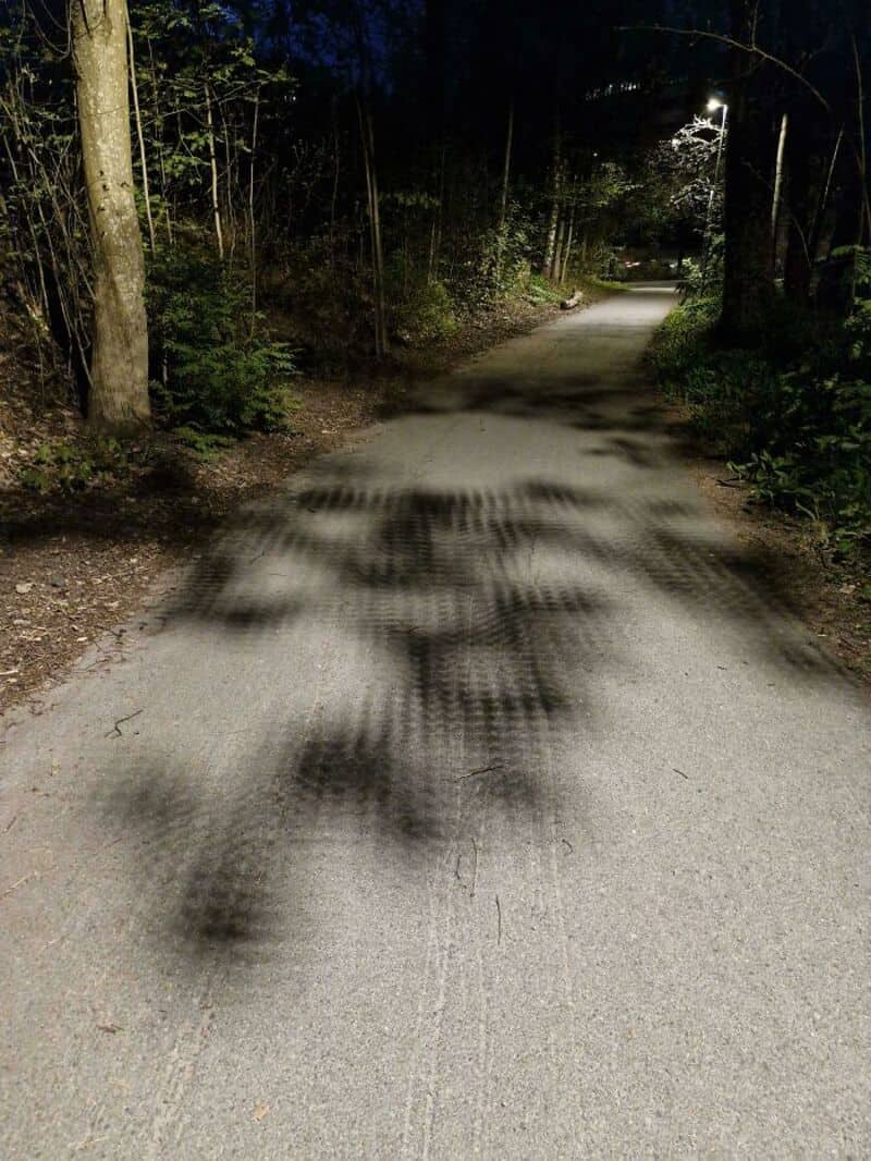 Shadow of a person on a forest path at night, with trees and a light in the background.