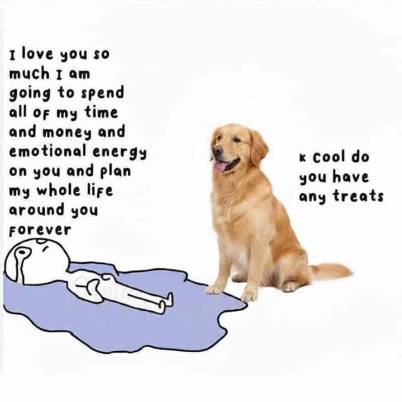 Golden retriever dog with a cartoon character and text about love and treats.