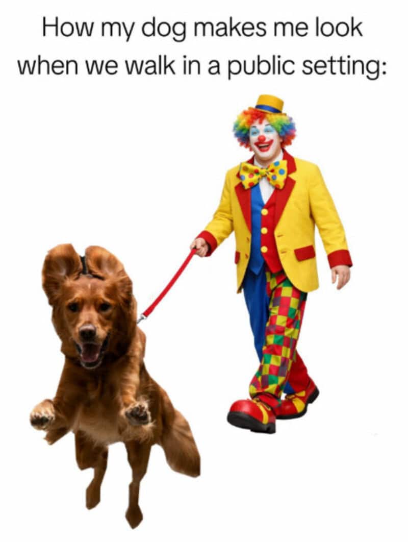 Clown walking a dog with the caption about public settings.