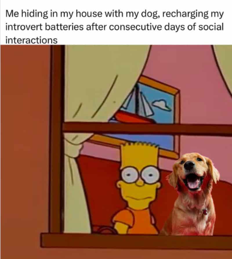 He hiding in my house with my dog, recharging my introvert batteries.