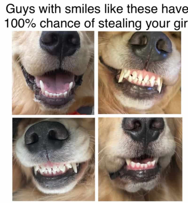 Guys with smiles like these have 100% chance of stealing your girl.