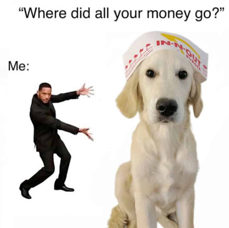 Dog with a hat and a man asking where money went meme.