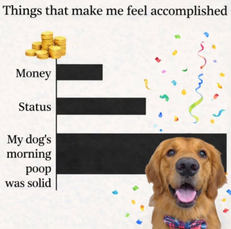 Chart showing things that make me feel accomplished with a happy dog and confetti.