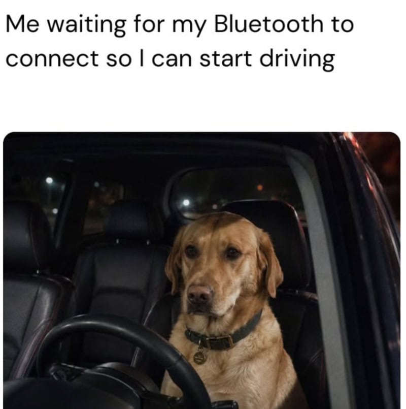 Golden retriever dog sitting in a car with text about Bluetooth connection.