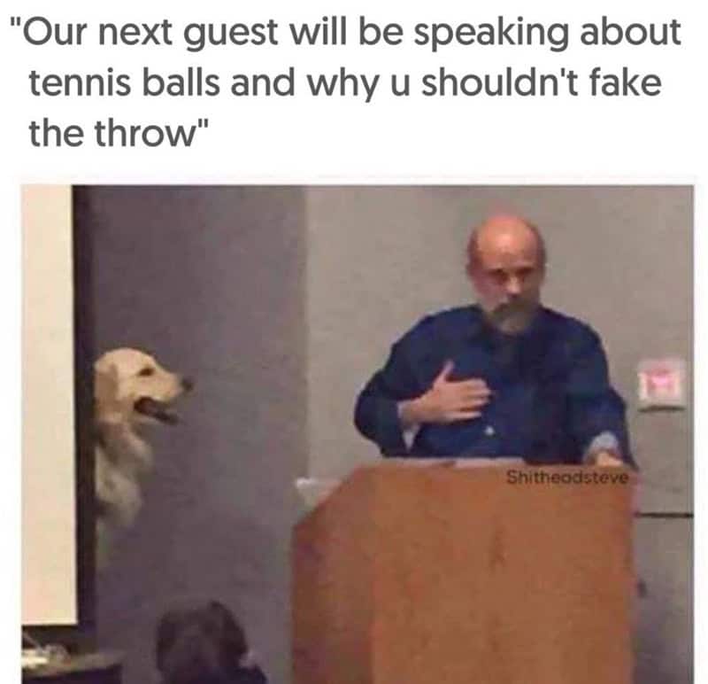 Man speaking at podium with dog beside him, caption about tennis balls and fake throws.