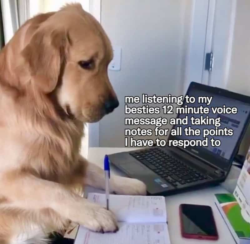 Golden retriever dog with a pen, notebook, and laptop, listening to a voice message.