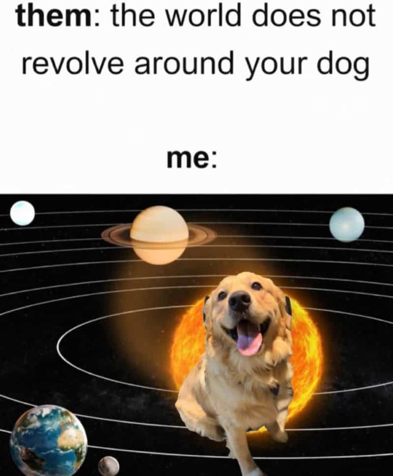 Funny meme with a dog in space, planets, and the sun.