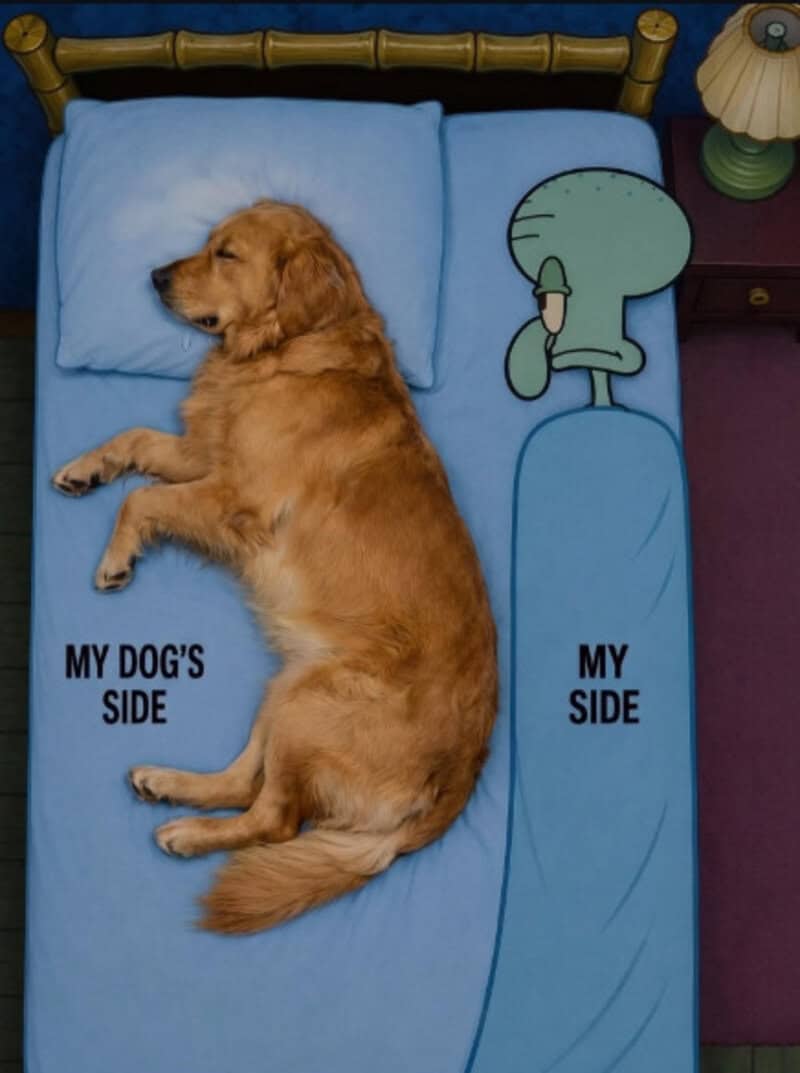 Golden retriever sleeping on bed with cartoon character and text.