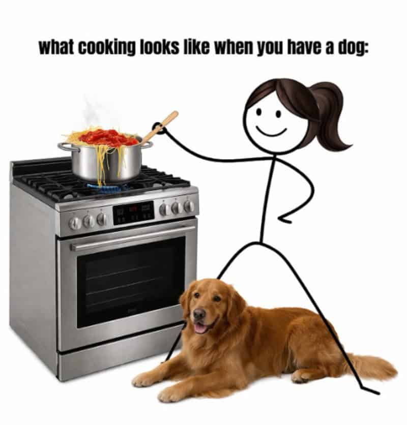 Funny meme showing a girl cooking with a dog lying on the floor.