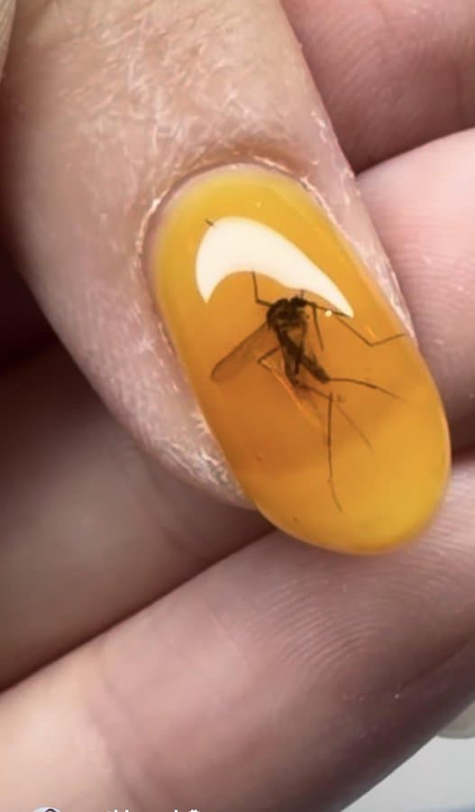 Nail with a mosquito inside the yellow nail polish.