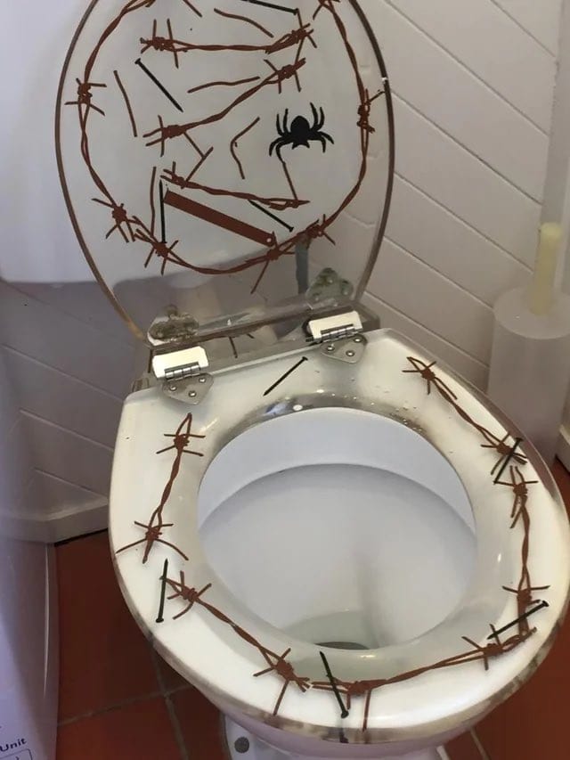 Toilet seat decorated with barbed wire, spider, and a bug, resembling a trap.