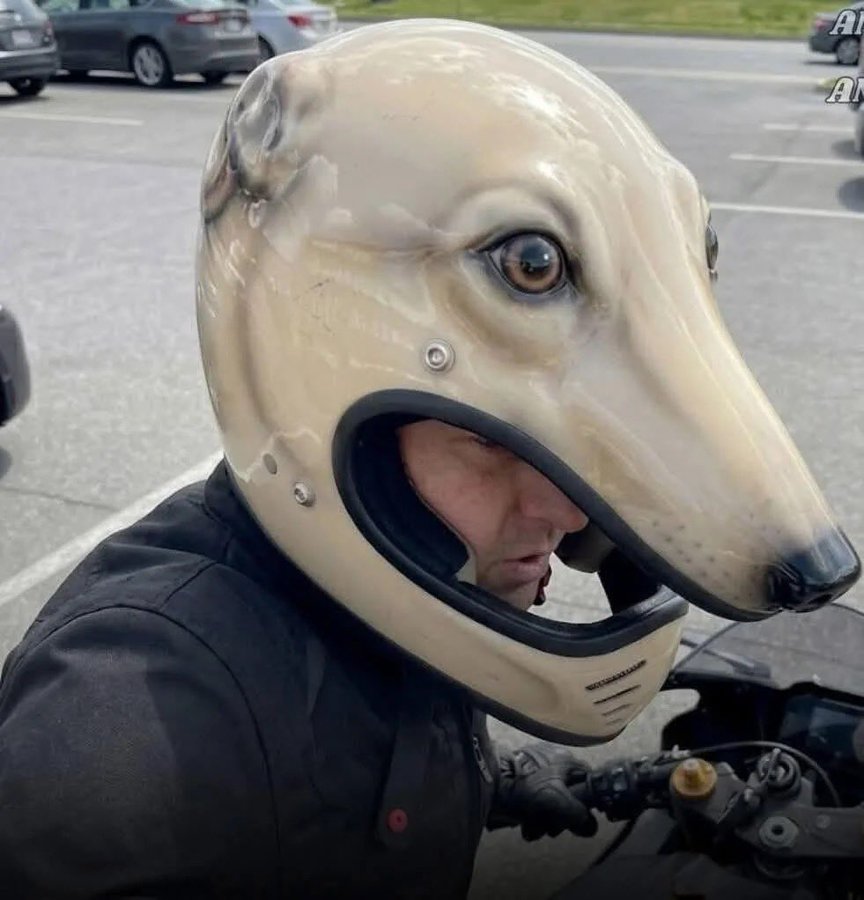 Person wearing a dog-shaped helmet in a parking lot.