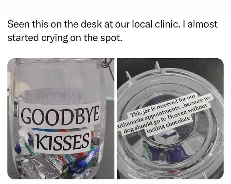 Goodbye kisses jar with a note about dog euthanasia and chocolate tasting.