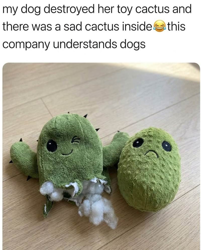 Two plush cactus toys, one with a sad face and the other with a winking face, on a wooden floor.
