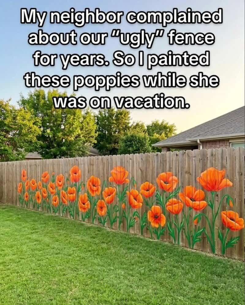 Colorful painted poppies on a wooden fence with a caption about a neighbor's complaint.