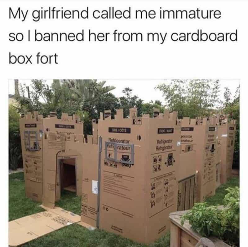 Cardboard box fort with multiple sections and labels, outdoors with trees and grass.