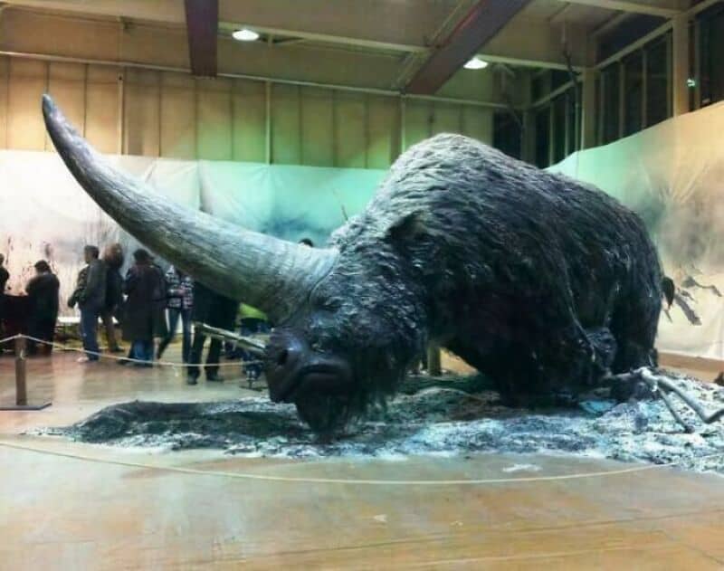 Large woolly mammoth statue with a long curved tusk in a museum setting.