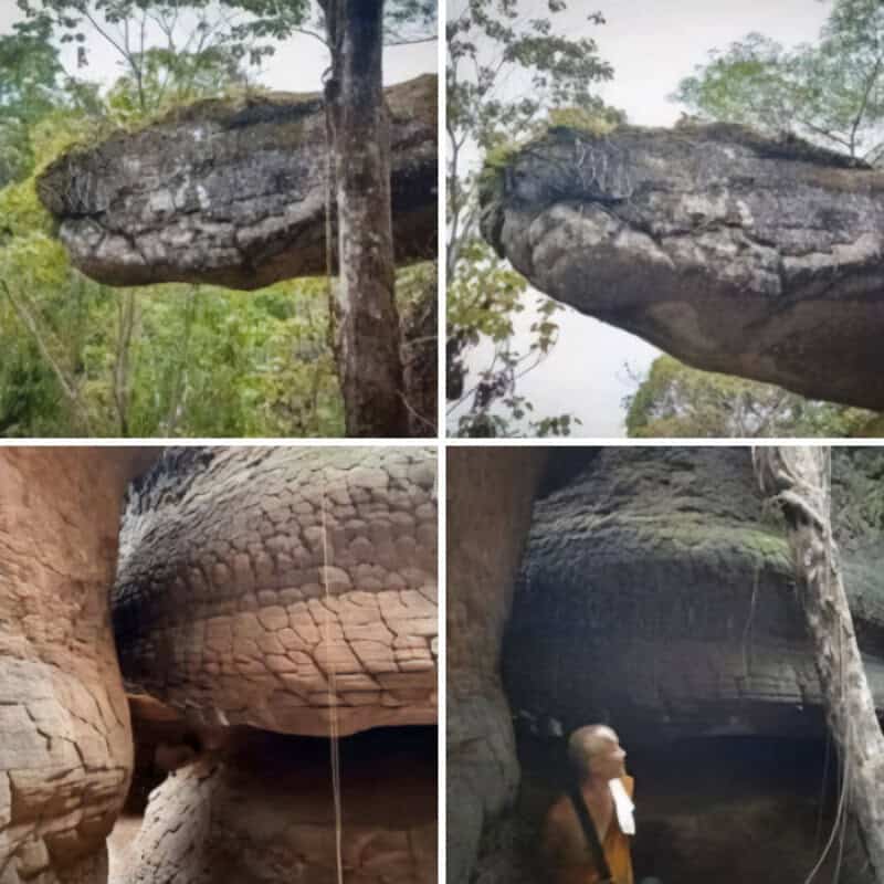 Large rock formations and caves in a forest setting.