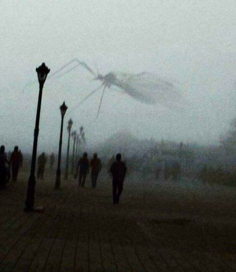 Large object crashing into the ground with smoke and debris, people watching.