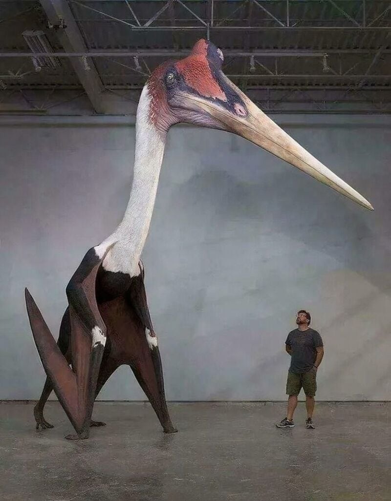 Large bird sculpture with a tiny man standing nearby for scale.