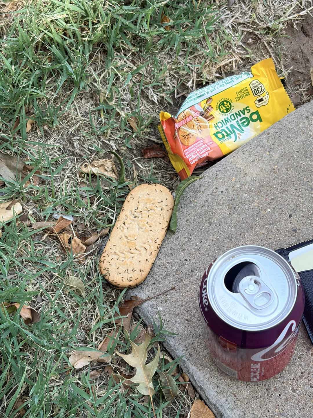 Snack bar, soda can, and snack bag on grass and concrete.