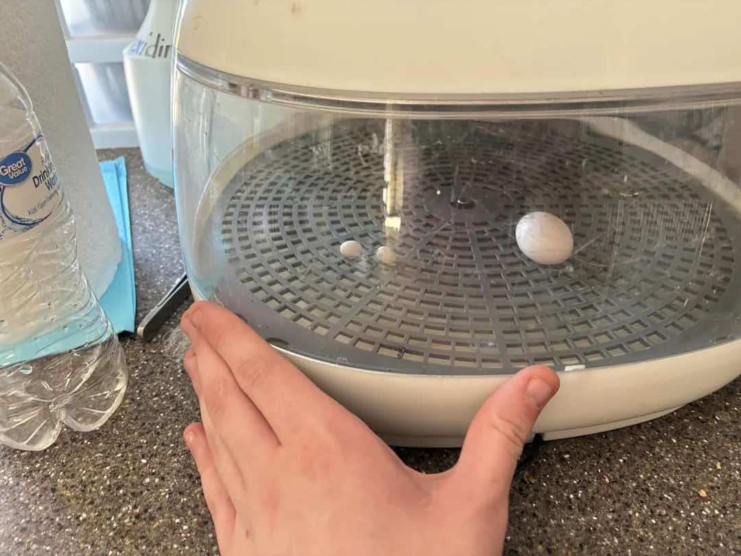 Eggs in a water tester with a hand on the device, on a kitchen counter.
