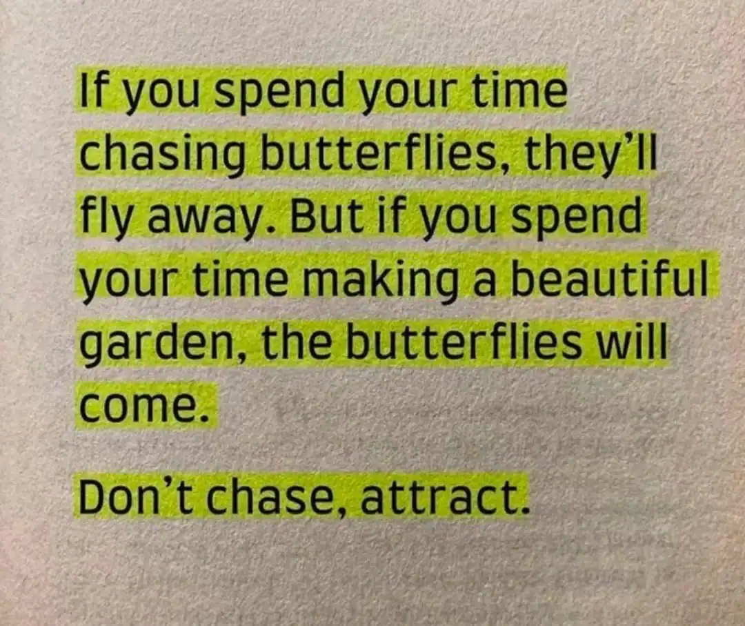Inspirational quote about patience and focus, highlighted in yellow.