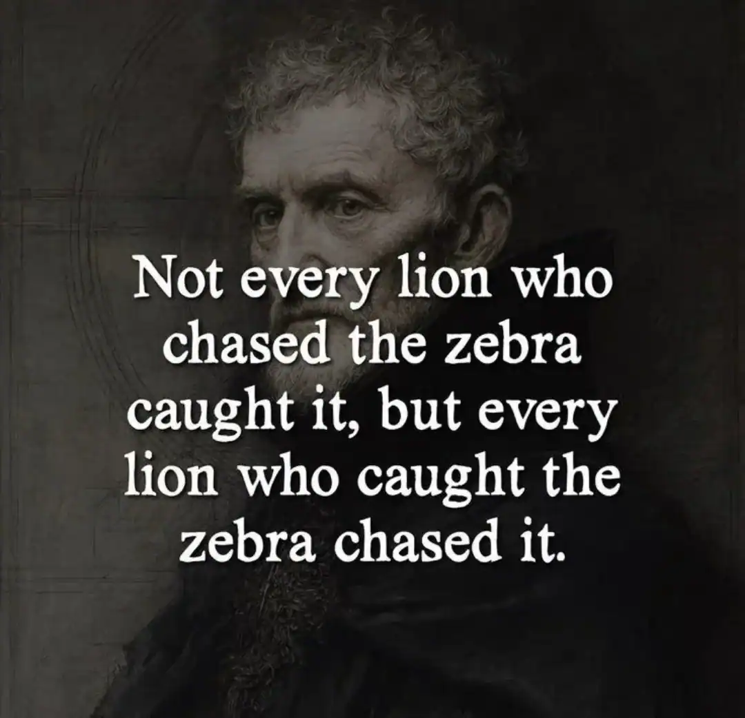 Quote about lions and zebras from the post 47 Motivational Images That'll Inspire You To Get Your LI.