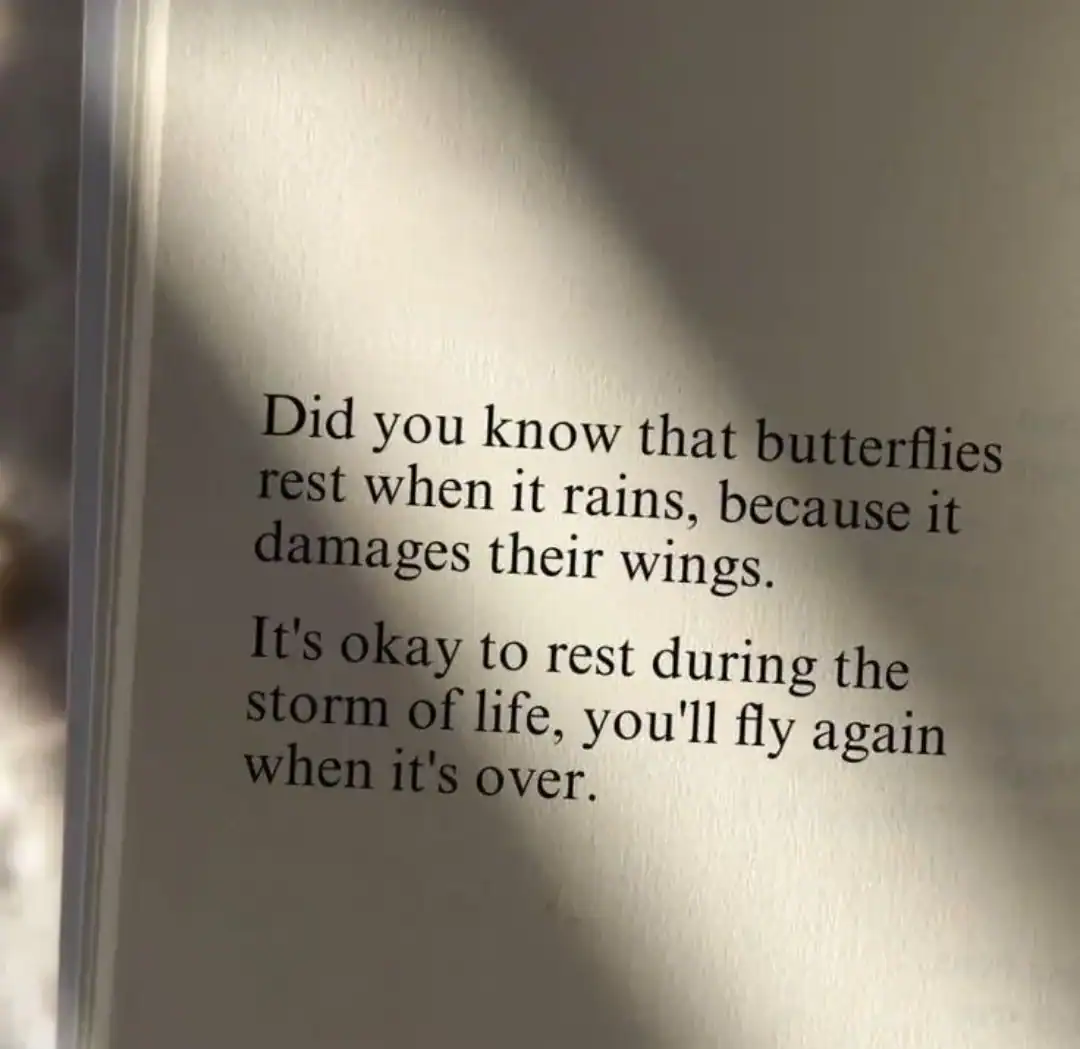Inspirational quote about butterflies resting during rain and life's storms.