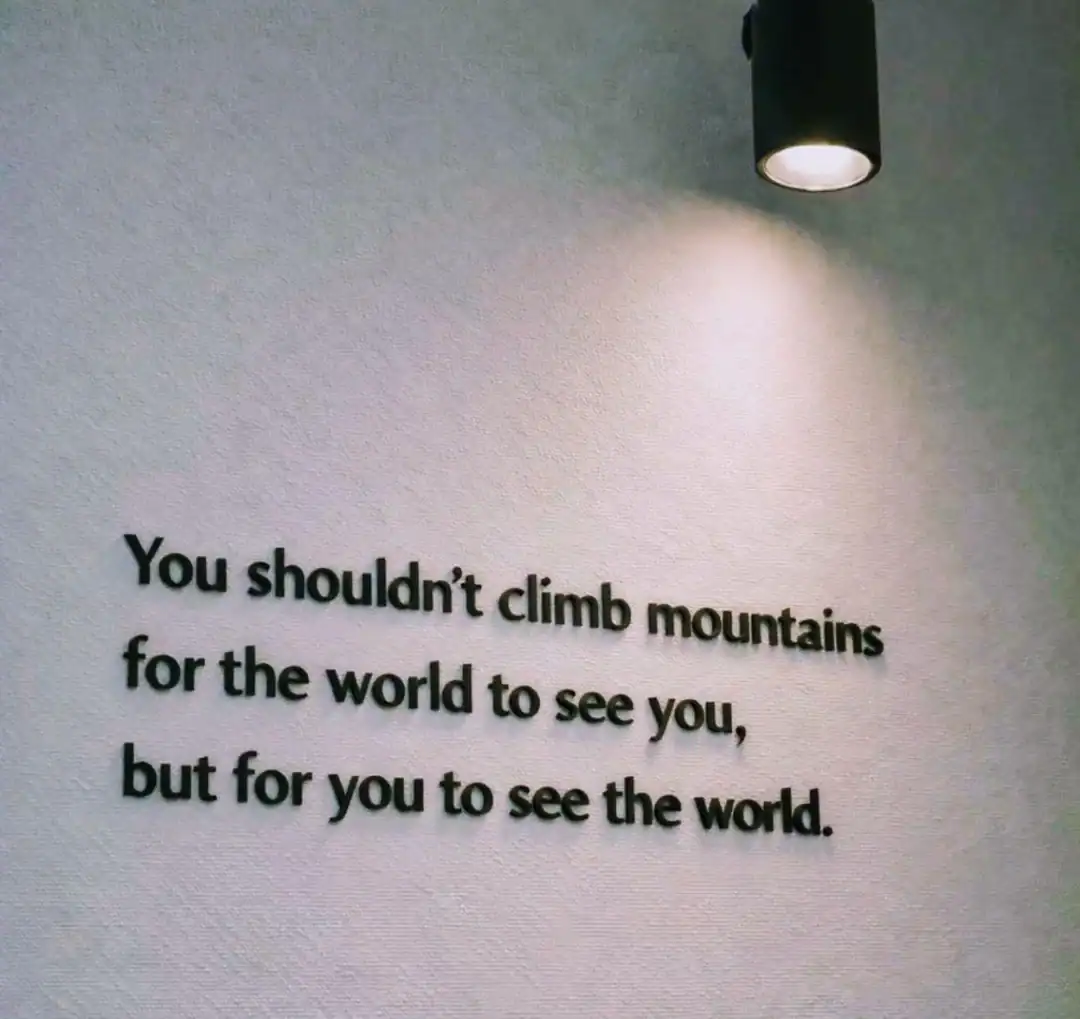 You shouldn't climb mountains for the world to see you, but for you to see the world.