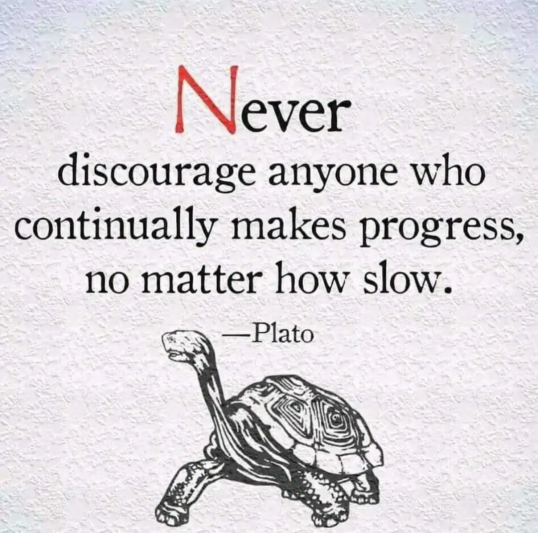 Never discourage anyone who continually makes progress, no matter how slow. -Plato.