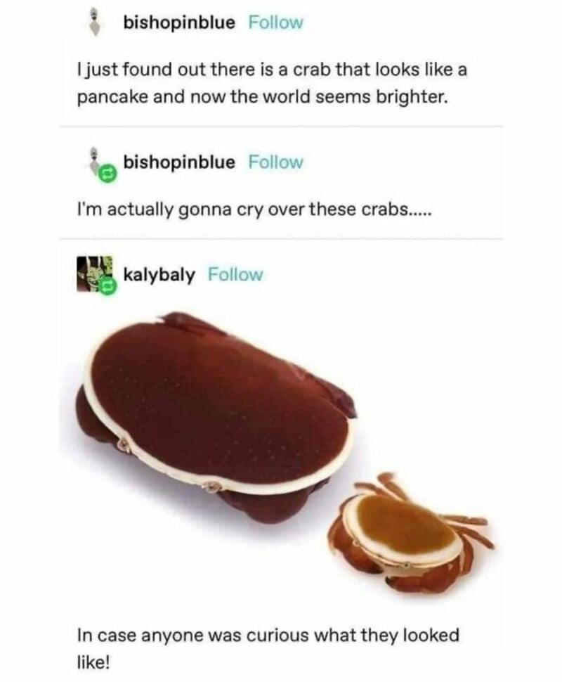 Crab resembling a pancake and a smaller crab, with humorous text about crying over crabs.